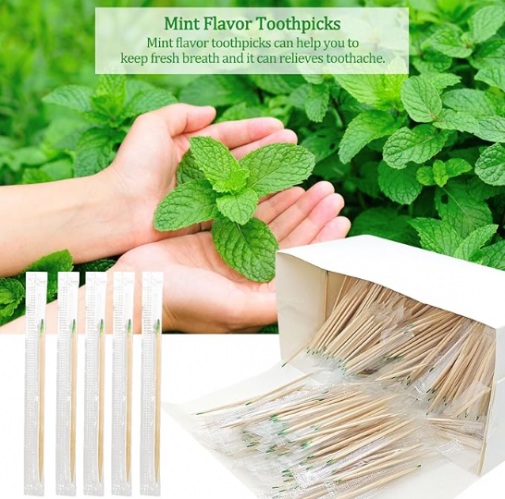 Toothpicks Paper Wrapped Mint Flavour 1x1000pcs Disposables